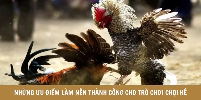 Những ưu điểm làm nên thành công cho trò chơi chọi kê