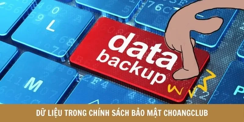 Dữ liệu trong chính sách bảo mật Choangclub