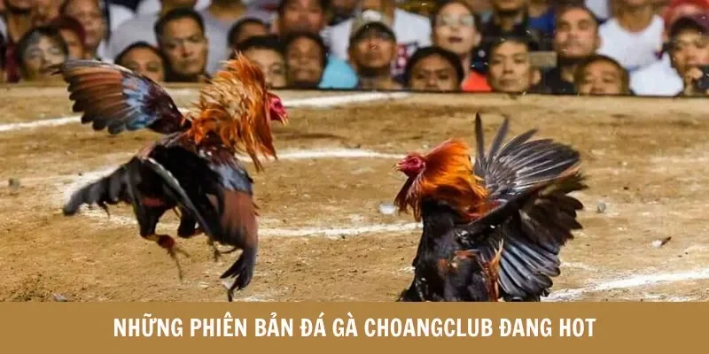 Những phiên bản đá gà choangclub đang hot